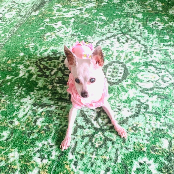 Meet your Posher, Jud - Picture 14 of 14